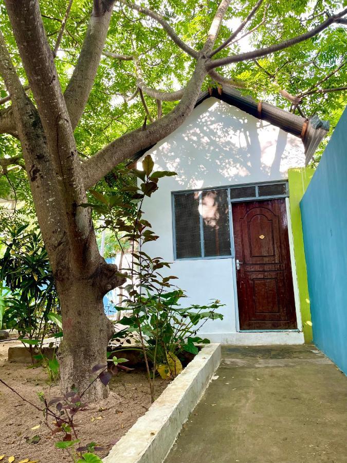 Green'S Hostel Nungwi Luaran gambar